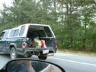 redneck relocation
