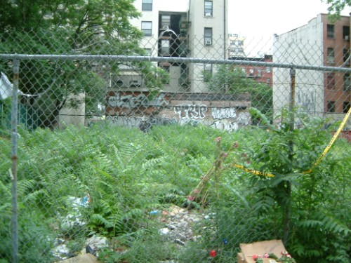 now why don't they clean up the lot