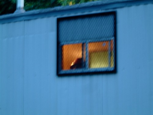 who could that be?