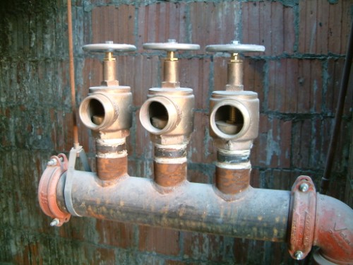 i wonder what happens