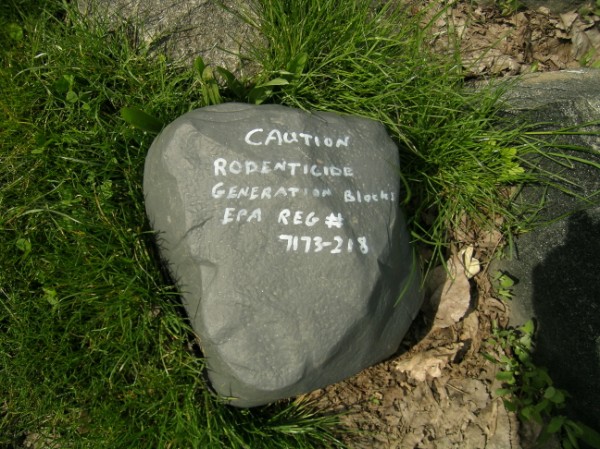 Poison ROCKS!