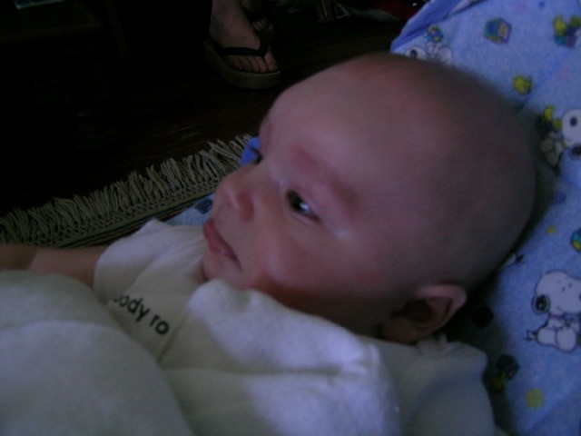 the lip