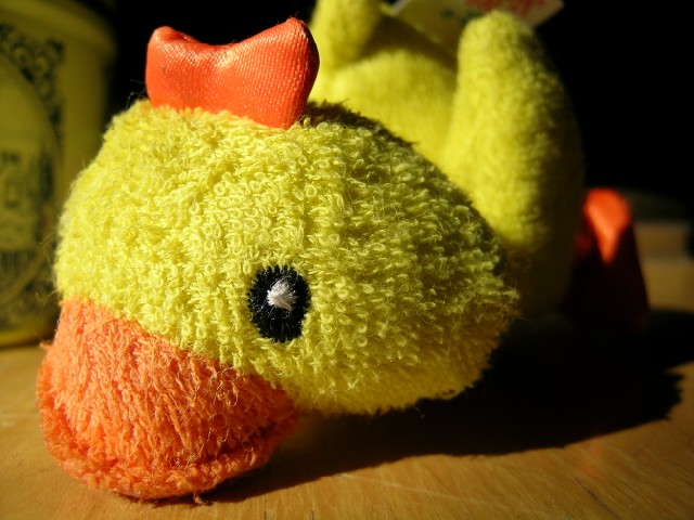 fuzzy ducky