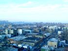 new view