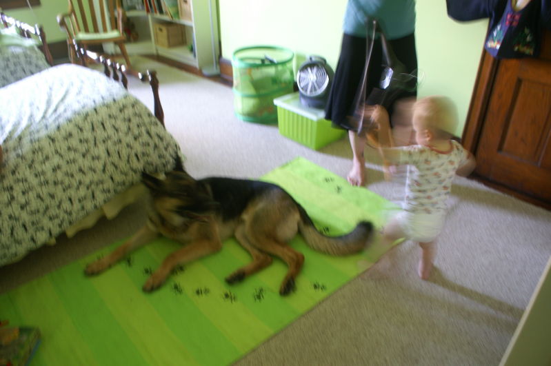 somehow a truce was struck