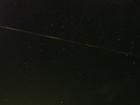 Chachalacas