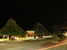 Chachalacas