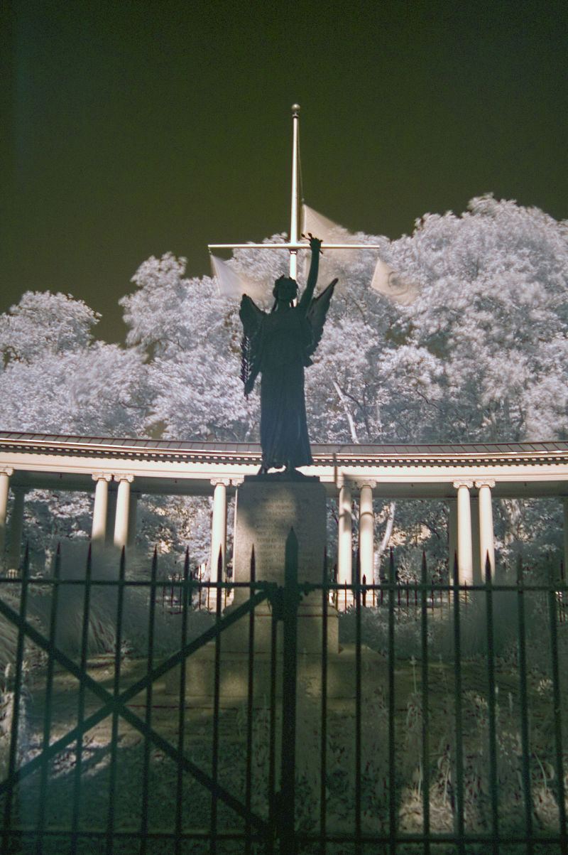 the angel
