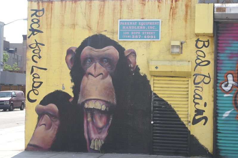 bad brains apes
