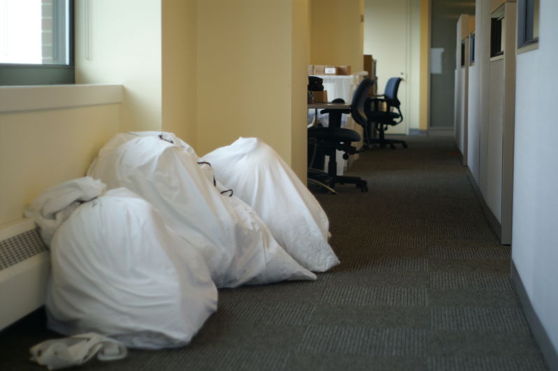 snoopys in body bags