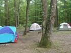 sleeping quarters