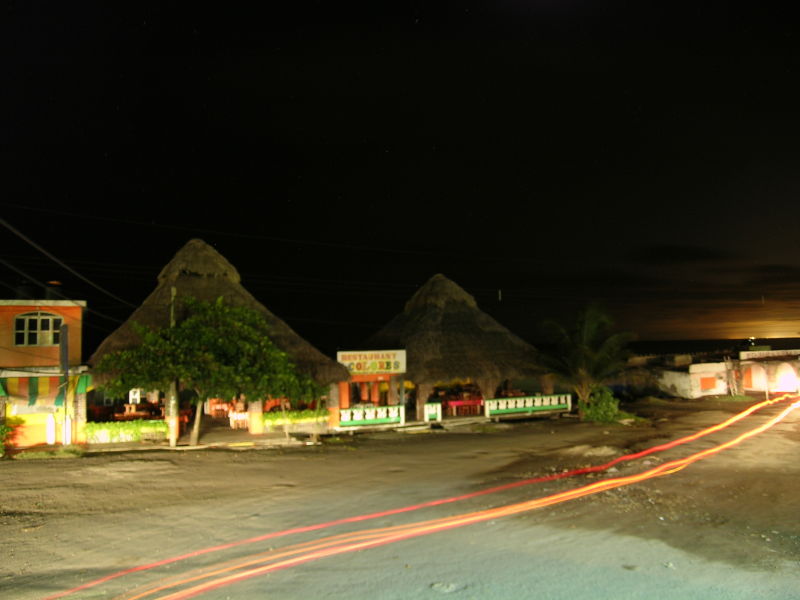 Chachalacas