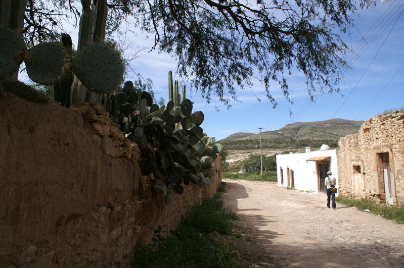 Mineral de Pozos