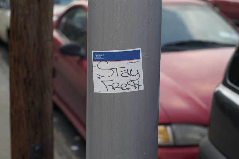 stay fresh