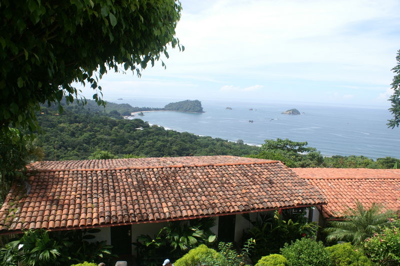 the view from the restaurant