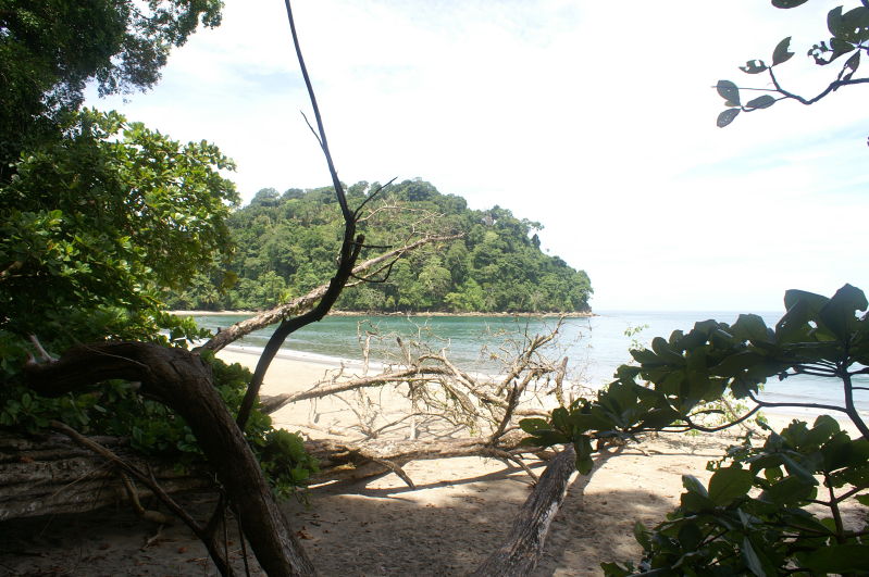 manuel antonio beach