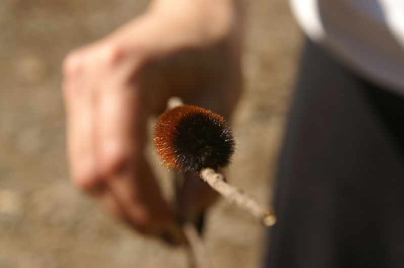 fuzzy little bastard